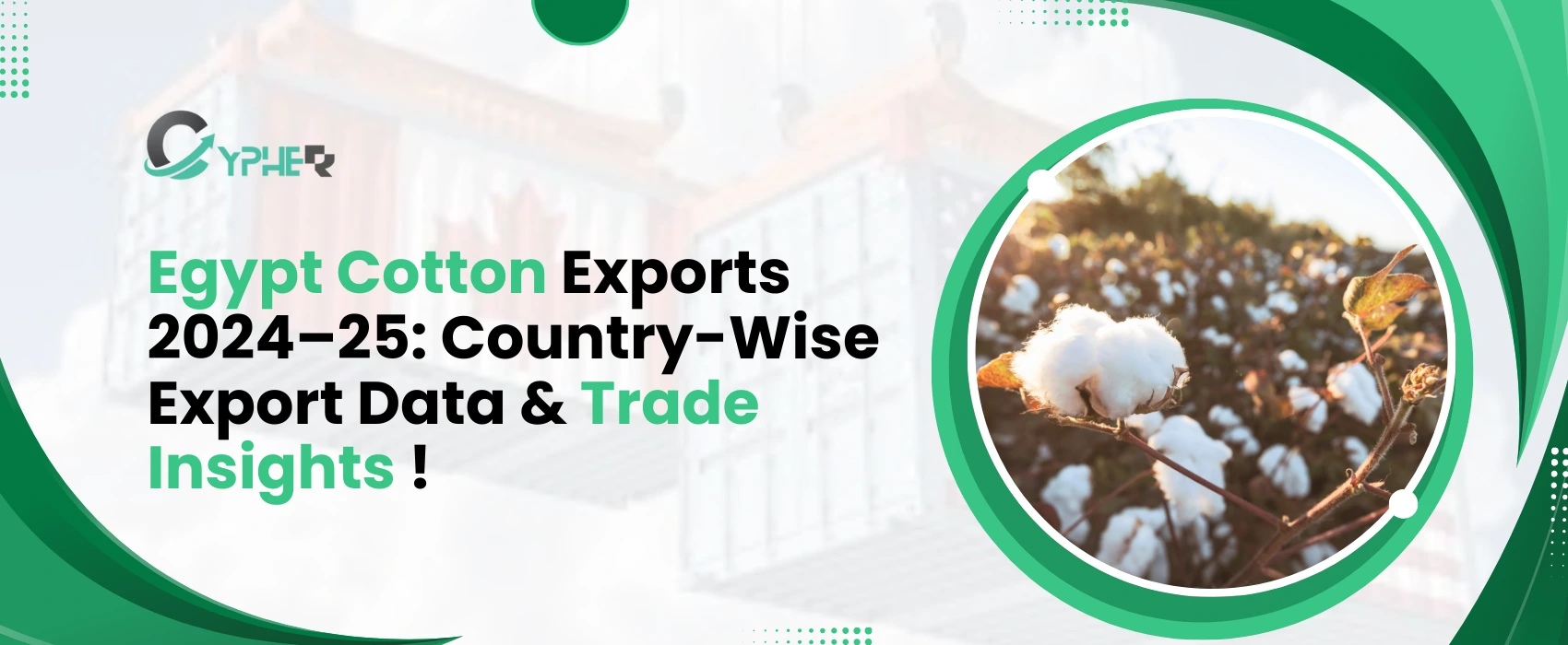 Egypt Cotton Exports 2024–25 | Country-Wise Export Data & Insights