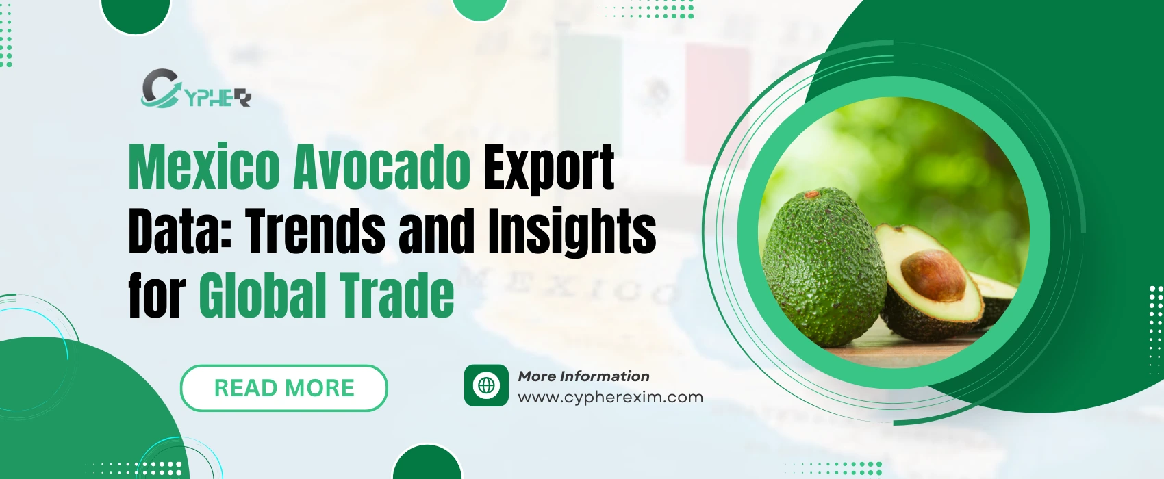 Mexico Avocado Export Data: Trends and Insights for Global Trade
