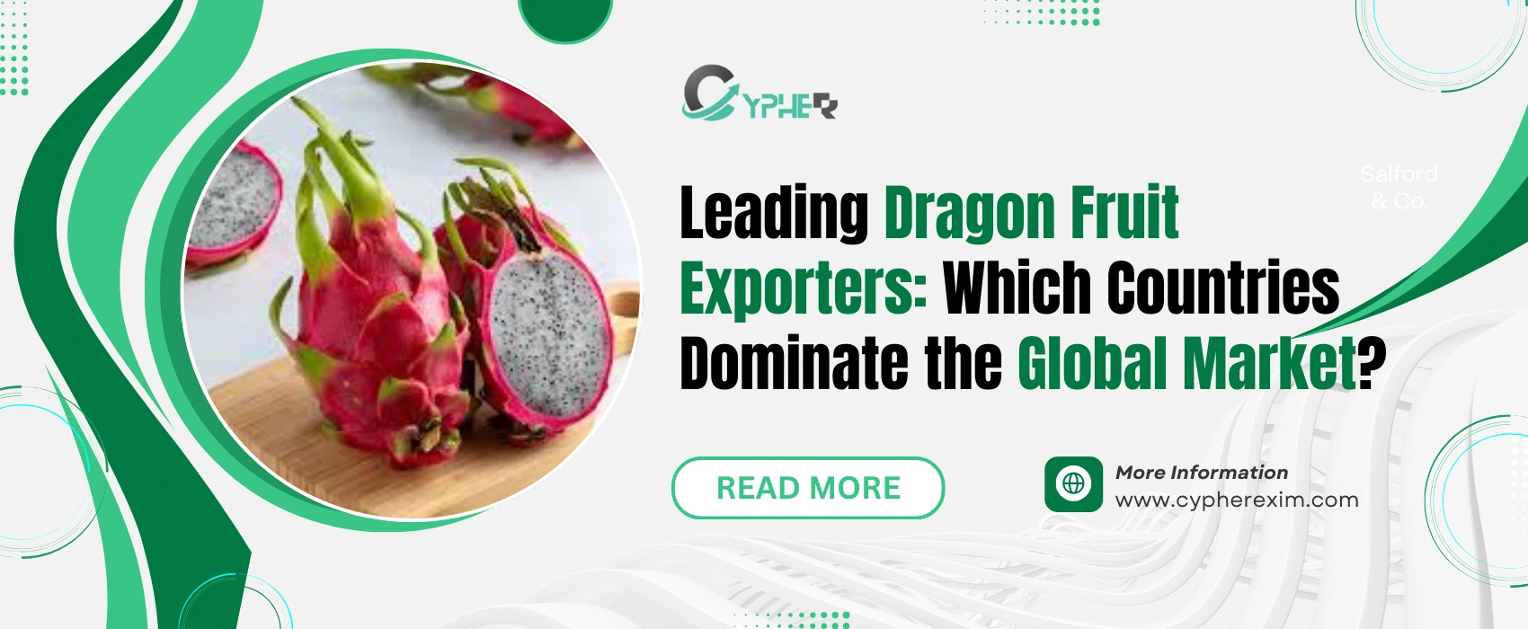 Leading Dragon Fruit Exporters: Dominating Global Market | Exim Data