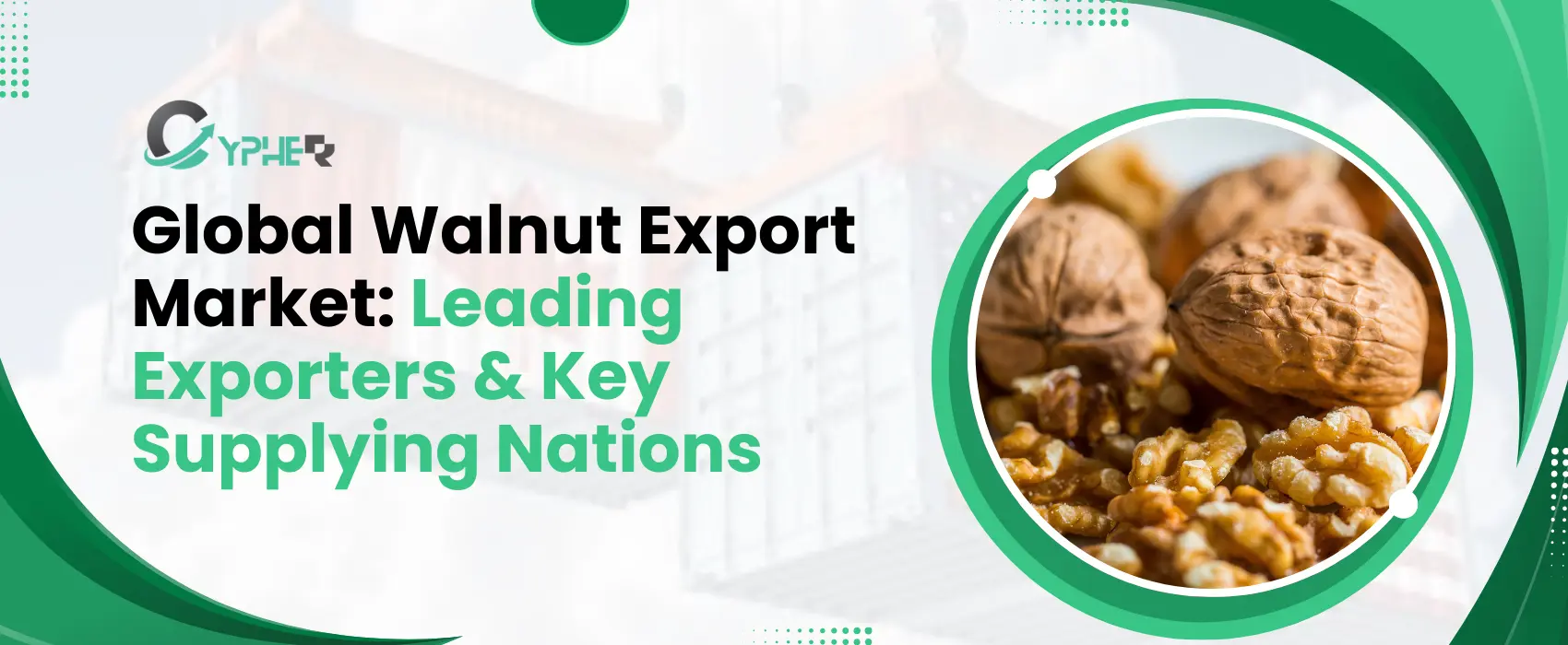 Global Walnut Export Market: Top Exporters & Supplying Nations