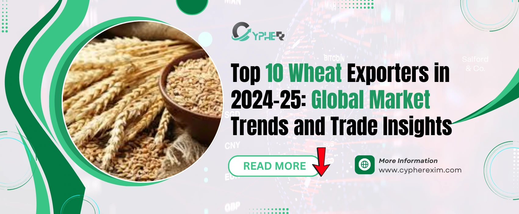Top 10 Wheat Exporters in 2024–25 | Global Trends & Trade Insights